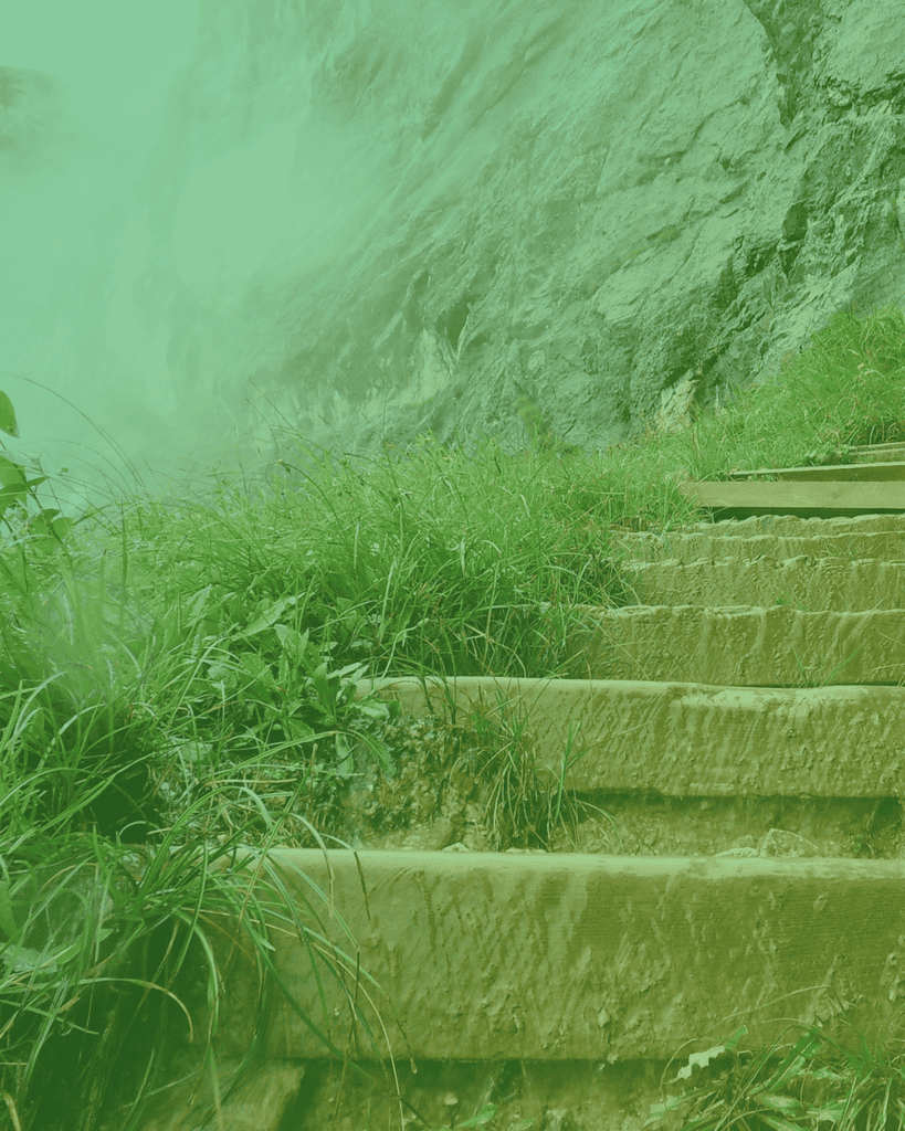Rocky steps lead up the side of a mountain, surrounded by grass and plants.